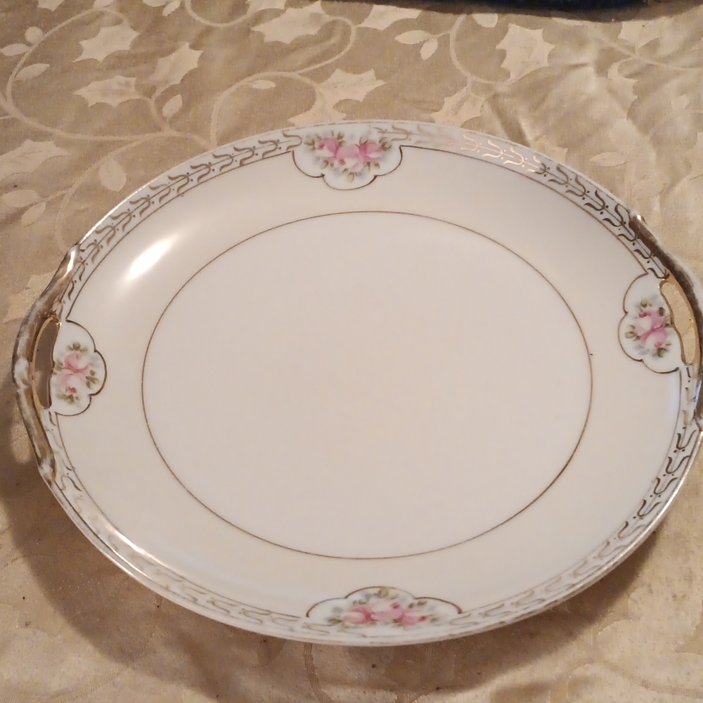 Hand Painted  nippon  handled plate